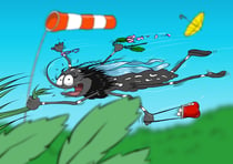 Tiger mosquito marcy doesn't like wind! World wind day